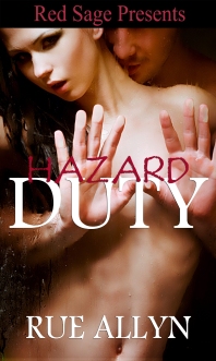 Cover Art for Hazard Duty, Sexy Sailors # 2